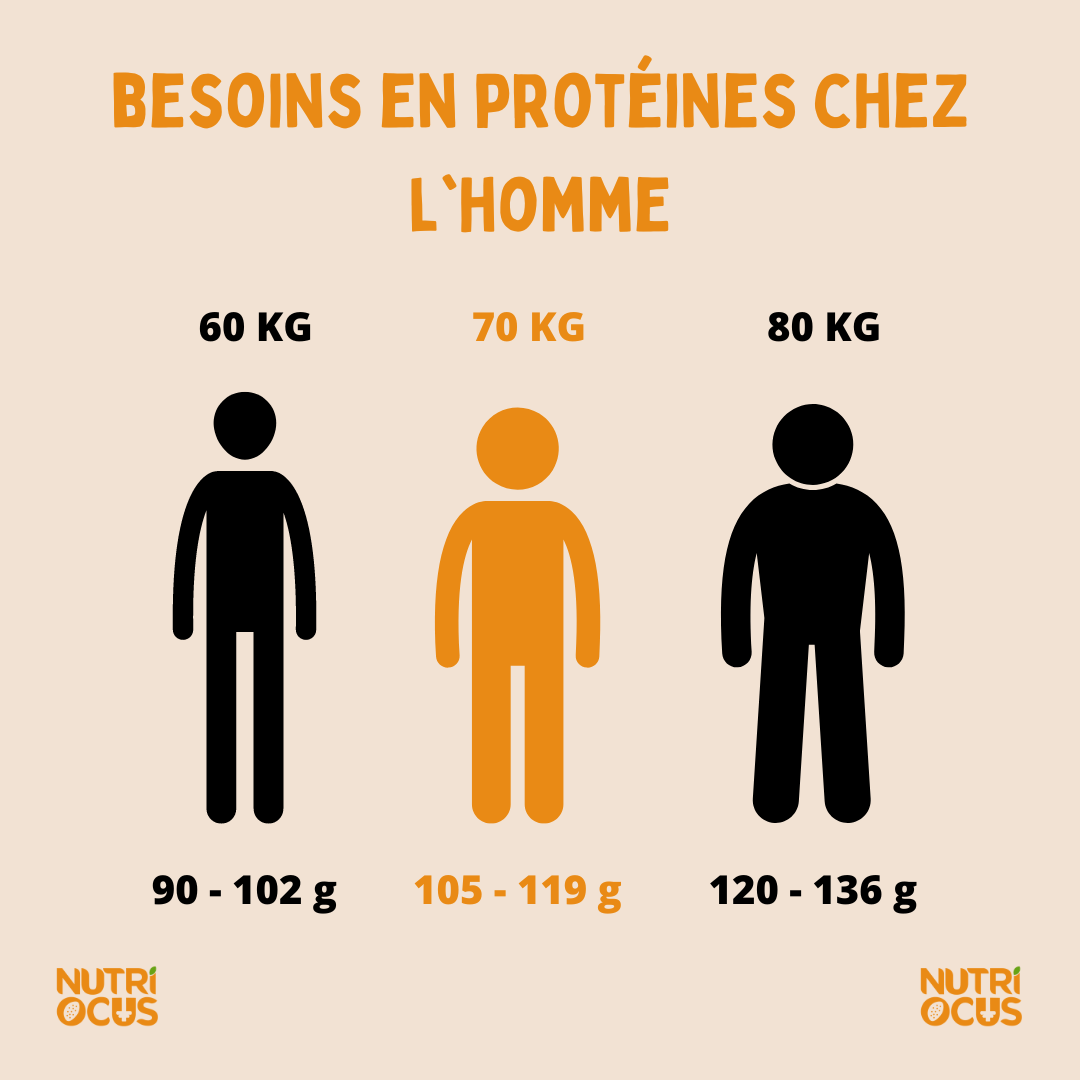 Les besoins en protéines chez l'homme. Les besoins en protéines chez l'homme.