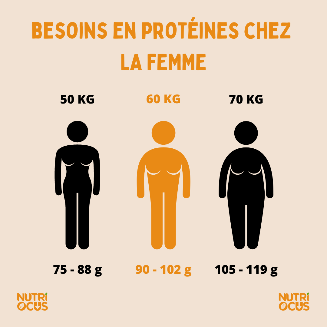 Les besoins en protéines chez la femme selon le poids