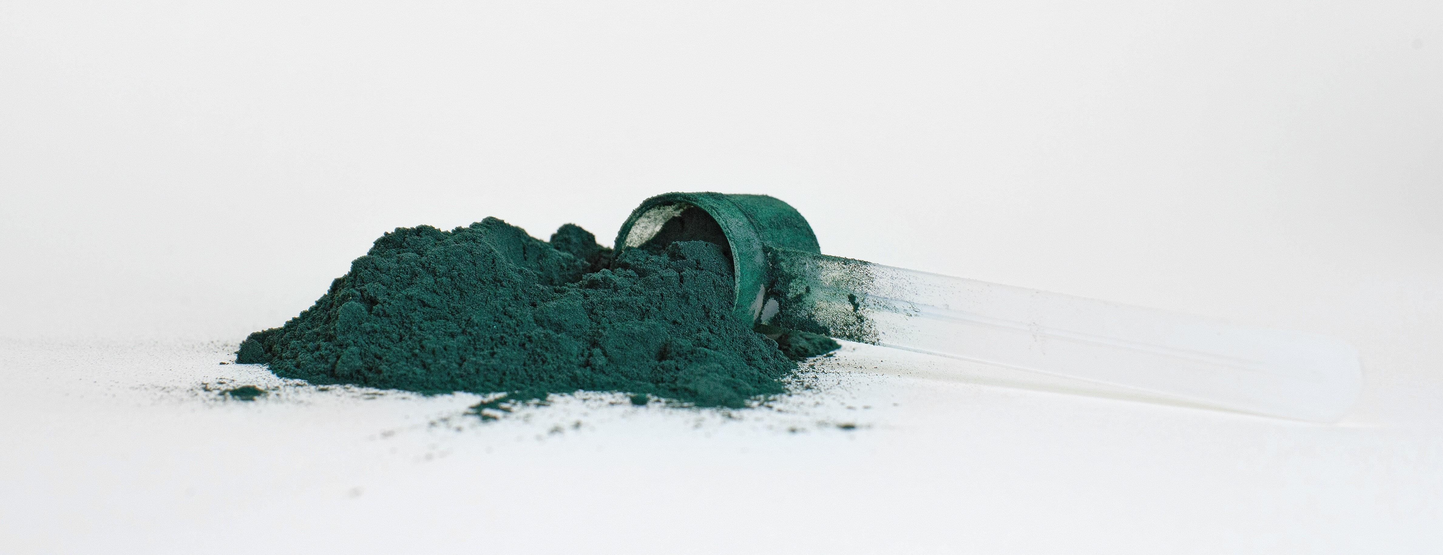 présentation de la spiruline présentation de la spiruline