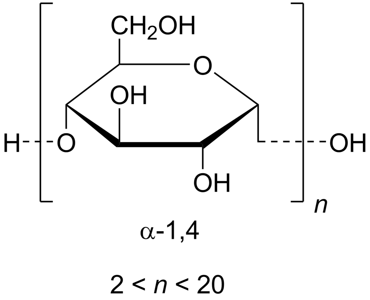 Composition chimique de la maltodextrine