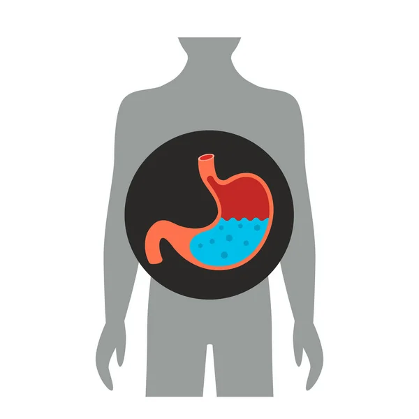 Vidange gastrique de l'estomac plus rapide avec la dextrine cyclique que la maltodextrine