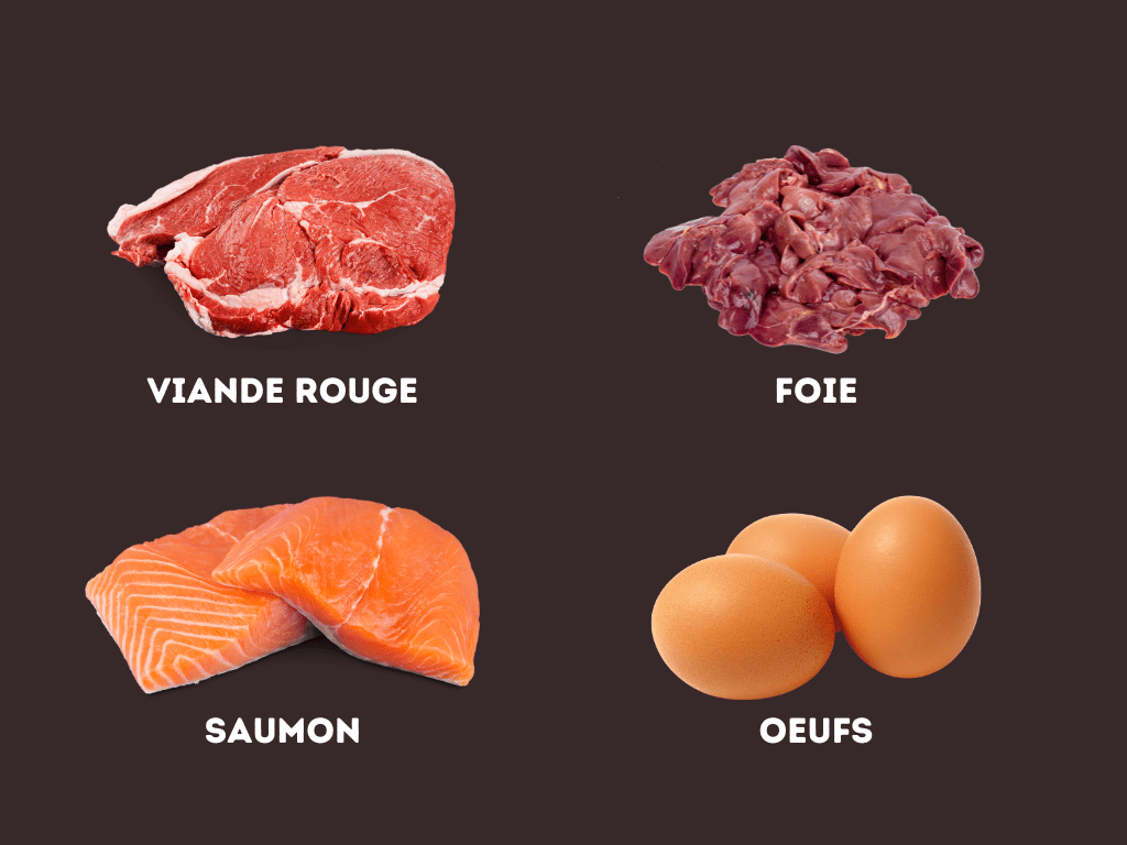 Aliments d'origine animales riches en fer