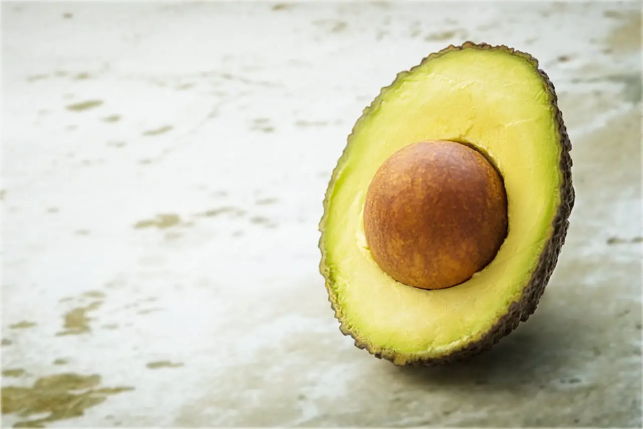 tout savoir sur l'avocat