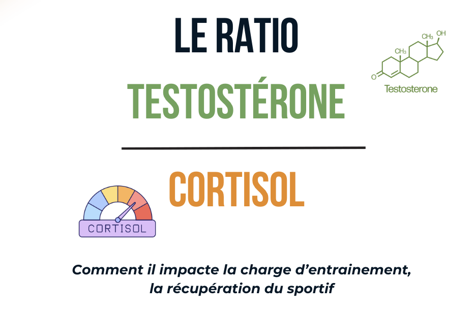 le ratio T/C testostérone / cortisol