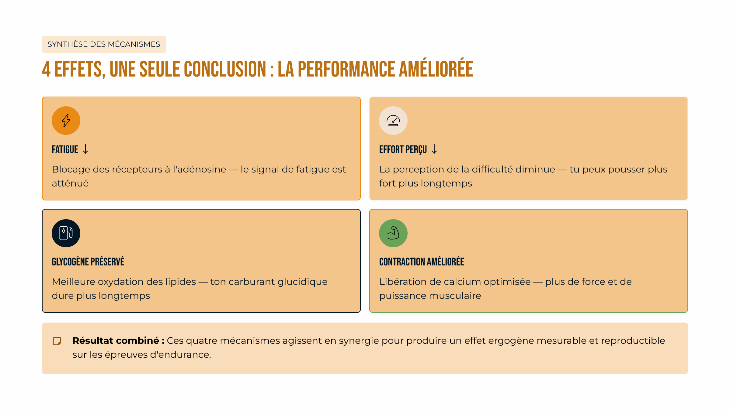 Les 4 effets positifs de la caféine sur la performance sportive en endurance