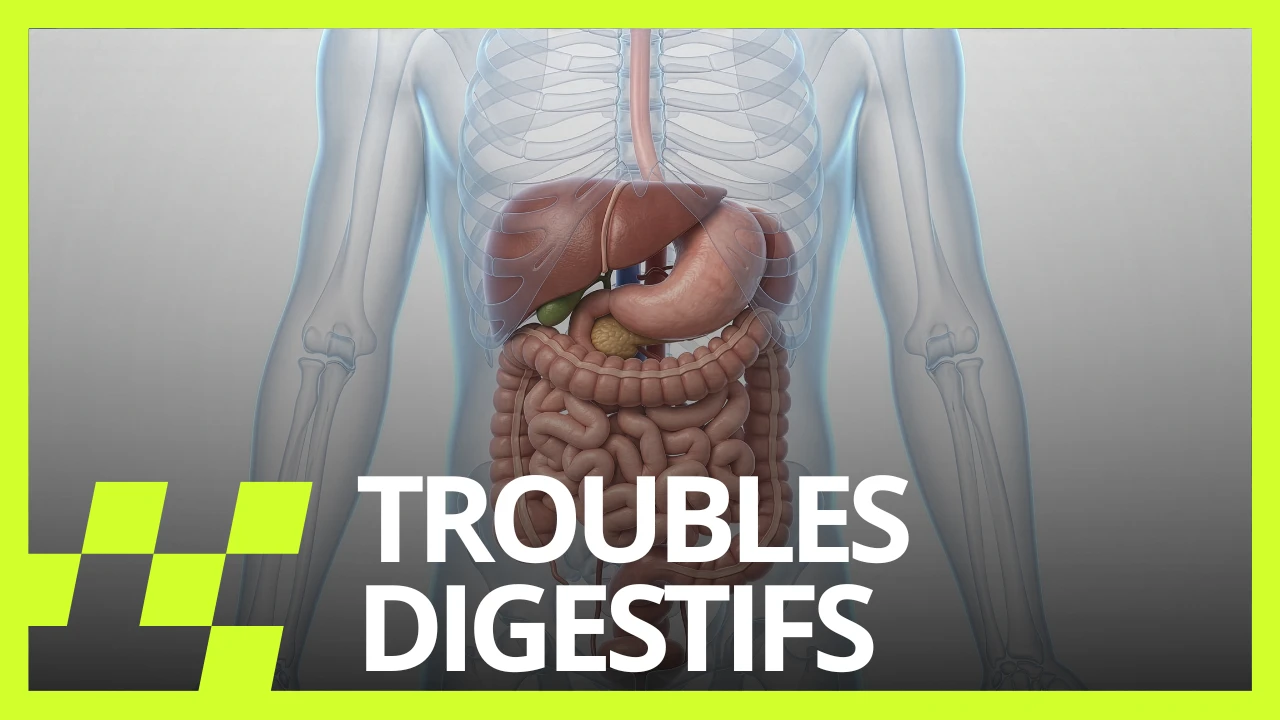 Schéma du système digestif, avec le texte « Troubles digestifs »