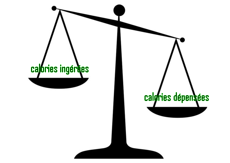 Balance déséquilibrée entre calories ingérées et calories dépensées