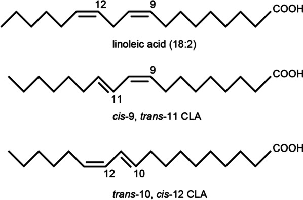 Les différents types de CLA