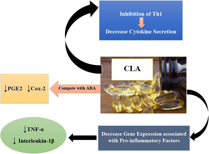Image provenant de l'étude : Putera, H. D., Doewes, R. I., Shalaby, M. N., Ramírez-Coronel, A. A., Clayton, Z. S., Abdelbasse
